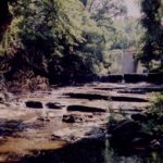 Beaver Creek, Sheridan, New York, near the possible site of Haven Brigham's grist mill. 